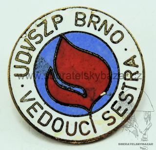 Odznak vedoucí sestra UDVSZP BRNO