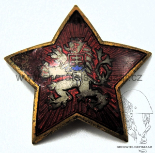 Velký Čepicový odznak ČSLA 50.léta 