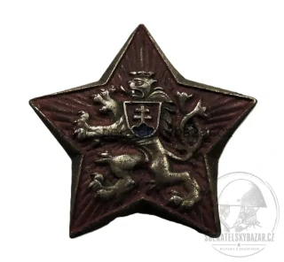 Velký Čepicový odznak ČSLA - 50. léta 